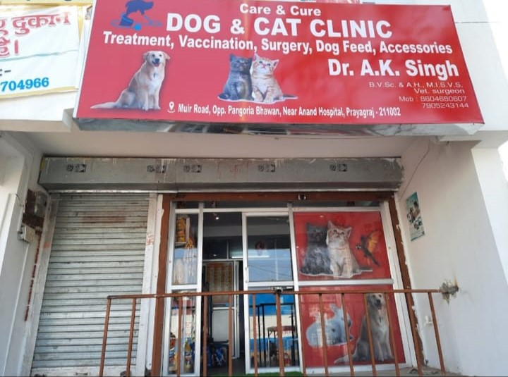 Pet care clearance and surgery